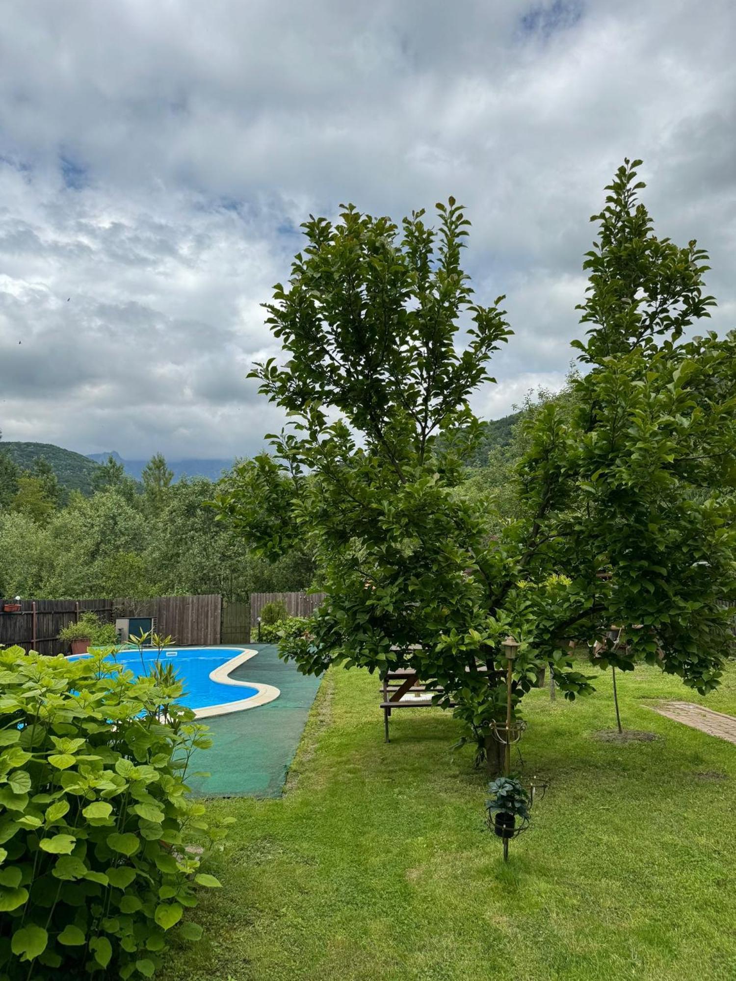 Casa de vacanță Căciulata Exterior foto